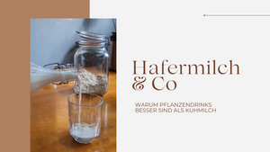 Hafermilch & Co: Warum Pflanzendrinks besser sind als Kuhmilch (+Rezept!)
