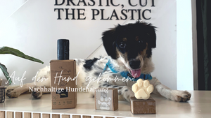 Auf den Hund gekommen? Nachhaltige Hundehaltung
